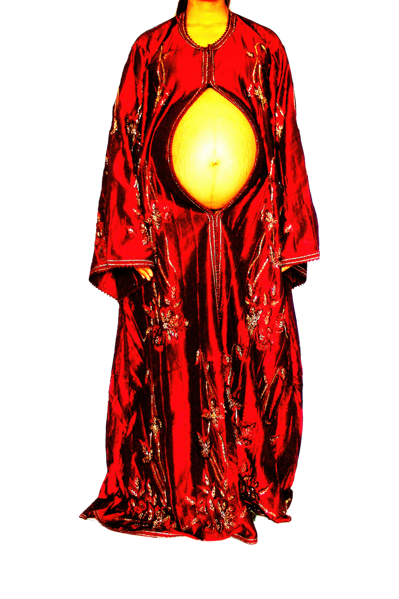 Le Corps Pansant - 2009